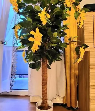 Cozy Modern Sunrise 35m2 Balcony 3 Persons Апартаменты