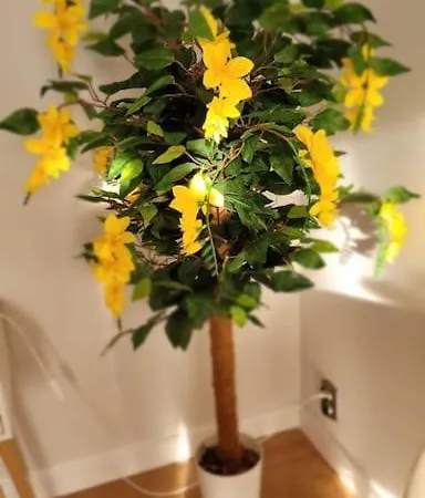 Cozy Modern Sunrise 35m2 Balcony 3 Persons *