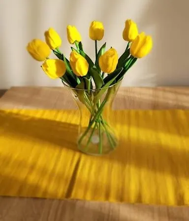 Cozy Modern Sunrise 35m2 Balcony 3 Persons Апартаменты *