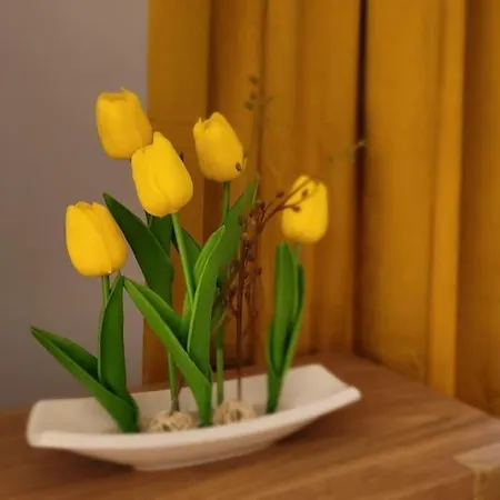 Cozy Modern Sunrise 35m2 Balcony 3 Persons