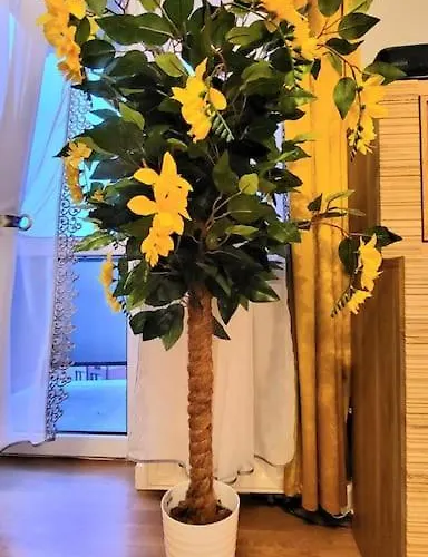 Cozy Modern Sunrise 35m2 Balcony 3 Persons Appartement