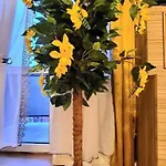 Cozy Modern Sunrise 35m2 Balcony 3 Persons Apartment